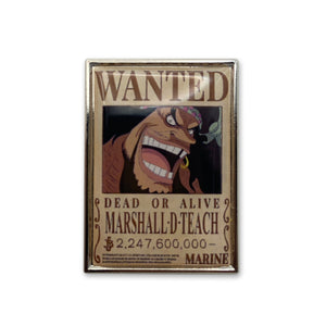 Blackbeard Wanted Poster Pin